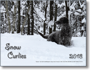 2016 Calendar "Curlies Dress-Up" tumbnail image