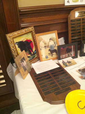 Curlies Remembered display of plaques