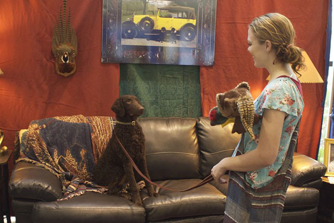 47a2df33b3127cce985#1202324