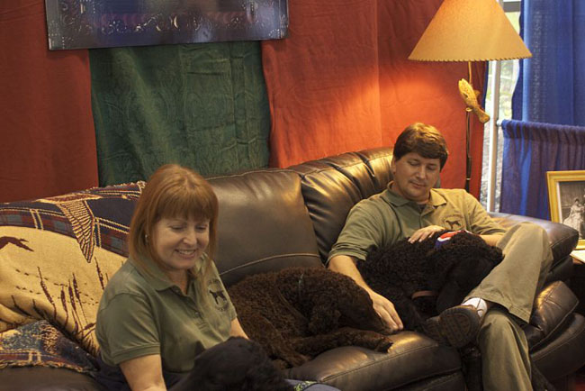 47a2df38b3127cce985#12022FF