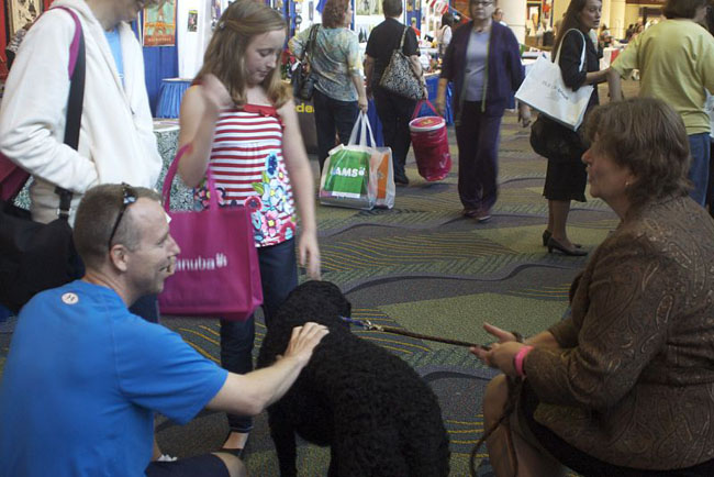 47a2df38b3127cce985#120232E