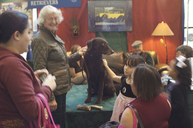 47a2df38b3127cce985#1202333