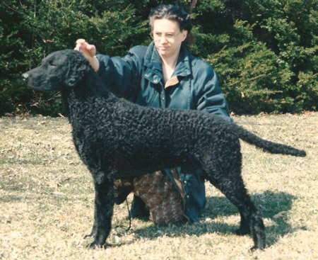 MBIS Mayhem's Gentlemen's Agreement, ROMX