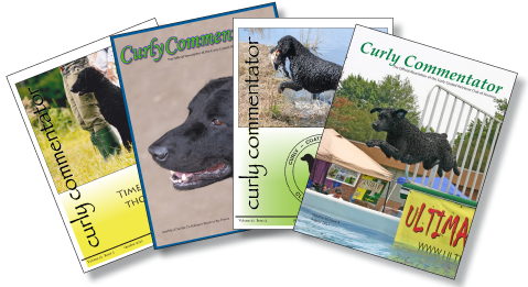 Issue covers of the Curly Commentator
