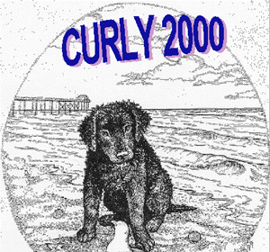 2000 Specialty Logo