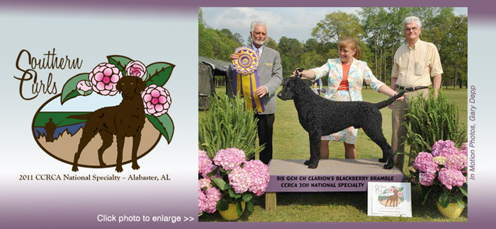 2012 CCRCA Specialty Logo - Curlies Rock - Cleveland, OH September 11-14, 2012